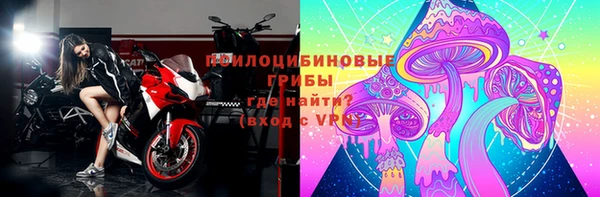 марки lsd Богданович